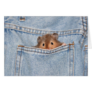 shy peekaboo