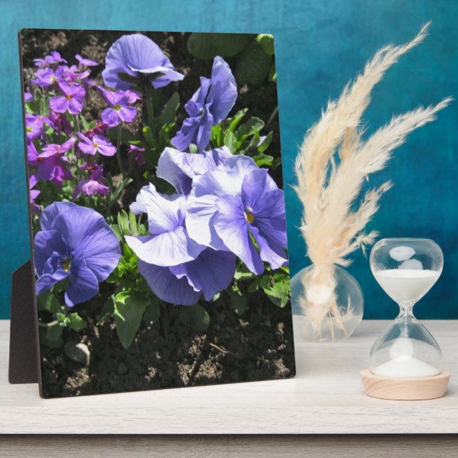 Shy Purple Pansies Plaque (Side)