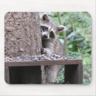 Shy Raccoon Mousepad