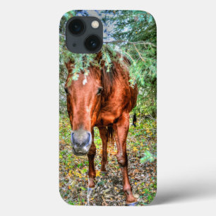 Shy Sorrel Mare & Trees Horse-lover's Equine Photo iPhone 13 Case