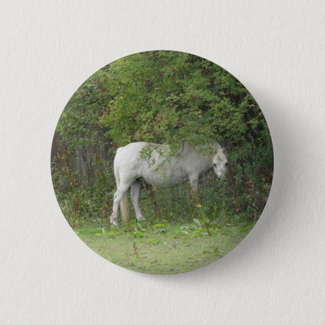 Shy White Horse Button (Front)