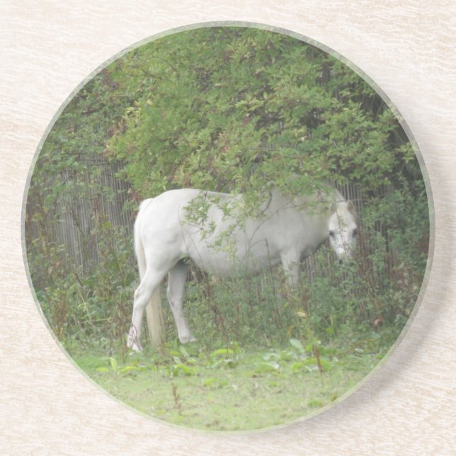 Shy White Horse Coasters (Front)