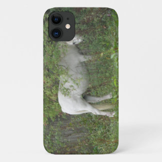 Shy White Horse iPhone 3 Case