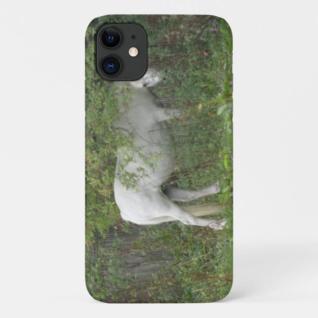 Shy White Horse iPhone 3 Case (Back)