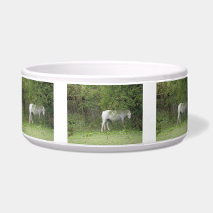 Shy White Horse Pet Bowl