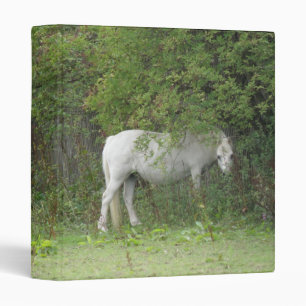 Shy White Horse Photograph Album Binder