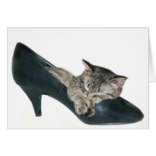 Si la chaussure convient