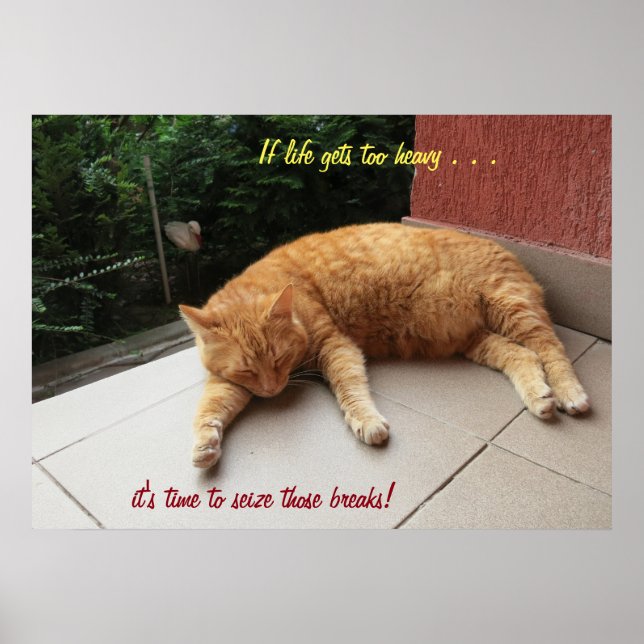 Si la vie devient trop lourde Chat (2) Poster (Devant)