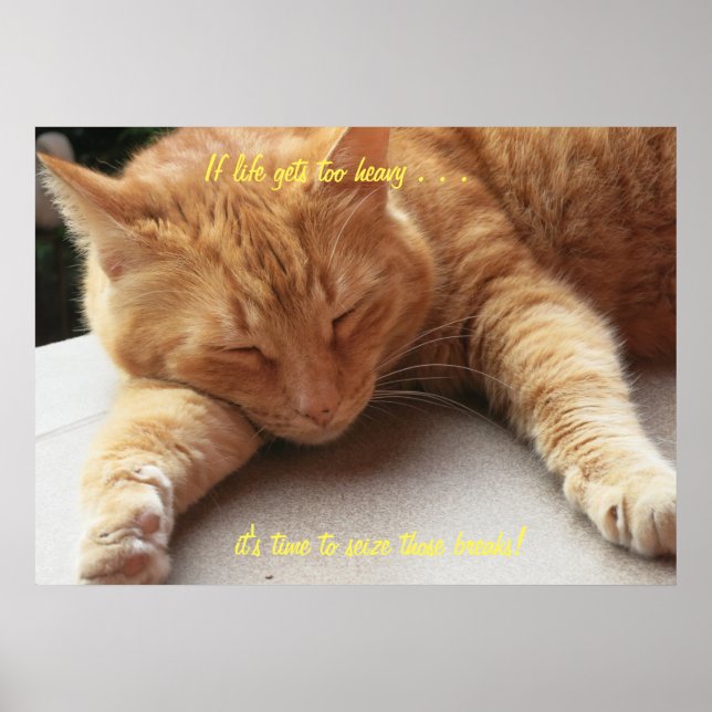 Si la vie devient trop lourde Poster de chat (Devant)