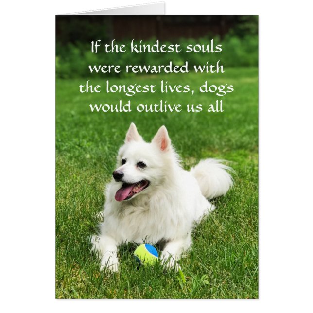 Si les âmes les plus gentilles - 5" x 7" Carte d'a (Devant)