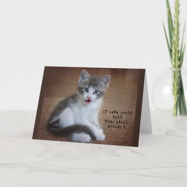 Si les chats pouvaient parler, carte pour notes (Devant)