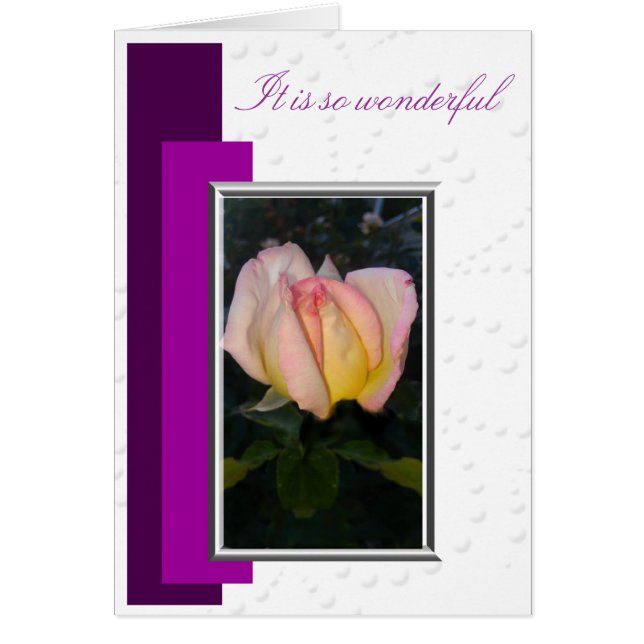 Si Merveilleux (Devant)