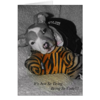 Si Tirant D'Être Si Mignonne !