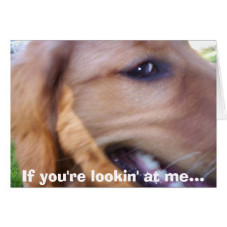 Si tu me regardes...