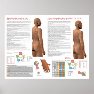 SI TW Meridian Acupuncture Points Poster
