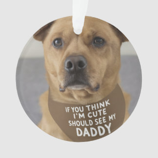 Si vous pensez que je suis mignon, vous devriez vo