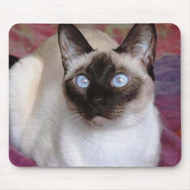 SIAMESE BEAUTY MOUSE PAD (Front)