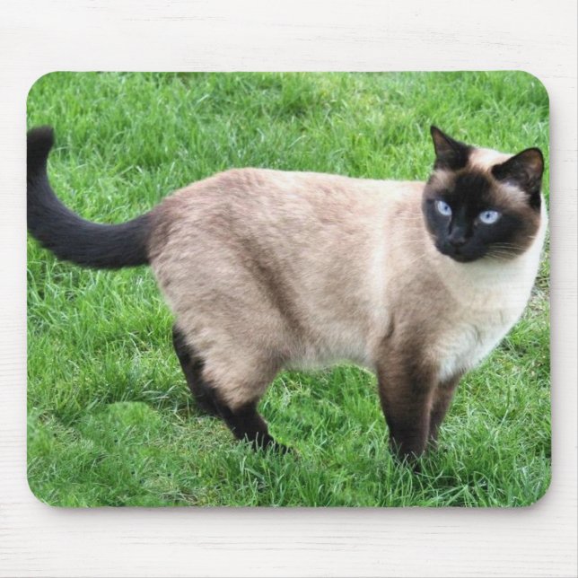 SIAMESE BEAUTY MOUSE PAD (Front)