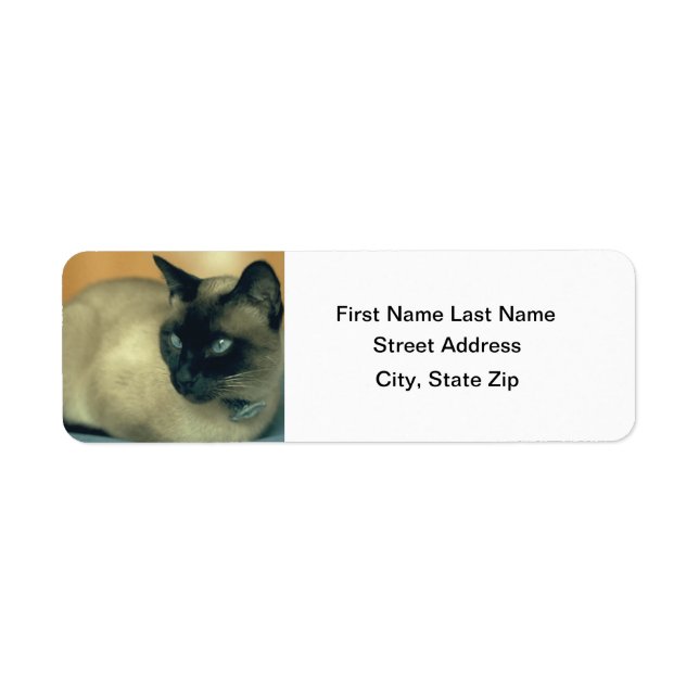 Siamese Cat (Front)