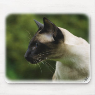 Siamese Cat 9W027D-128 Mouse Pad