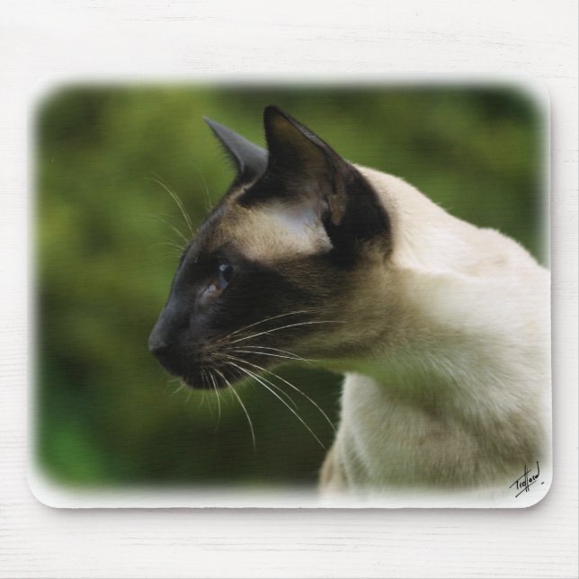 Siamese Cat 9W027D-128 Mouse Pad (Front)