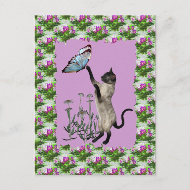 Siamese Cat Blue Butterfly Daisies Postcard (Front)
