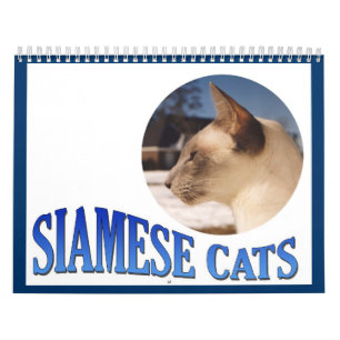 Siamese Cat Calendar 2024