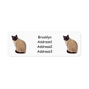 Siamese cat cartoon