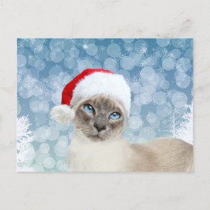 Siamese cat Christmas Holiday Postcard