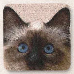 siamese cat crackle old aged cracked Hi Hello Coaster