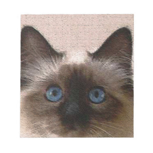 siamese cat crackle old aged cracked Hi Hello Notepad