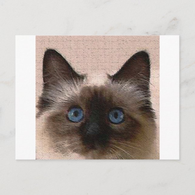 siamese cat crackle old aged cracked Hi Hello Postcard (Front)
