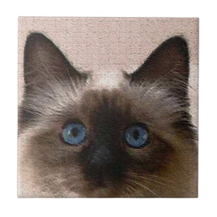 siamese cat crackle old aged cracked Hi Hello Tile