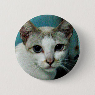 Siamese Cat Friend 2 Inch Round Button