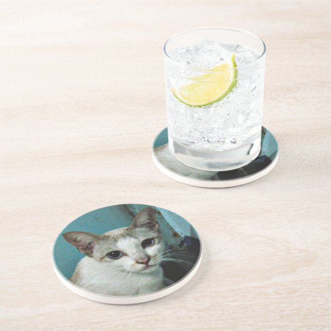 Siamese Cat Friend Coaster (Side)