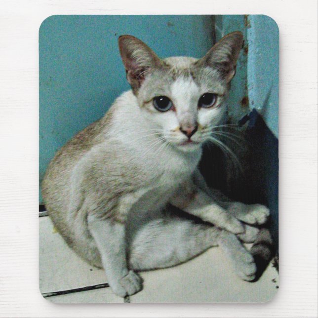 Siamese Cat Friend Mouse Pad (Front)