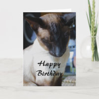 Siamese Cat Happy Birthday Card