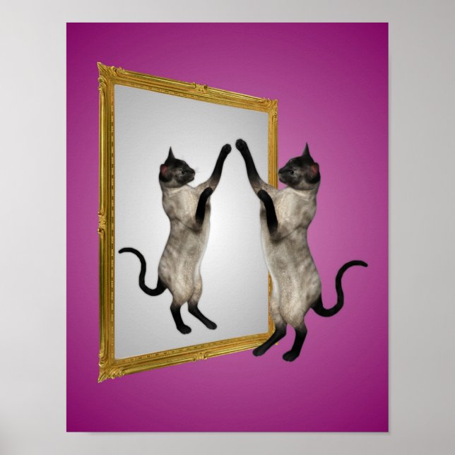 Siamese Cat In A Mirror Animal Poster (Front)