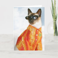 Siamese Cat in Shades