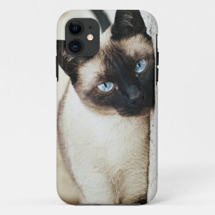 siamese cat iphone case