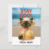 Siamese Cat is licking ice cream stay cool