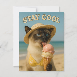 Siamese Cat is licking ice cream stay cool Postcard