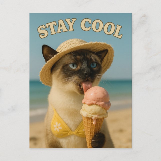Siamese Cat is licking ice cream stay cool  Postcard (Front)