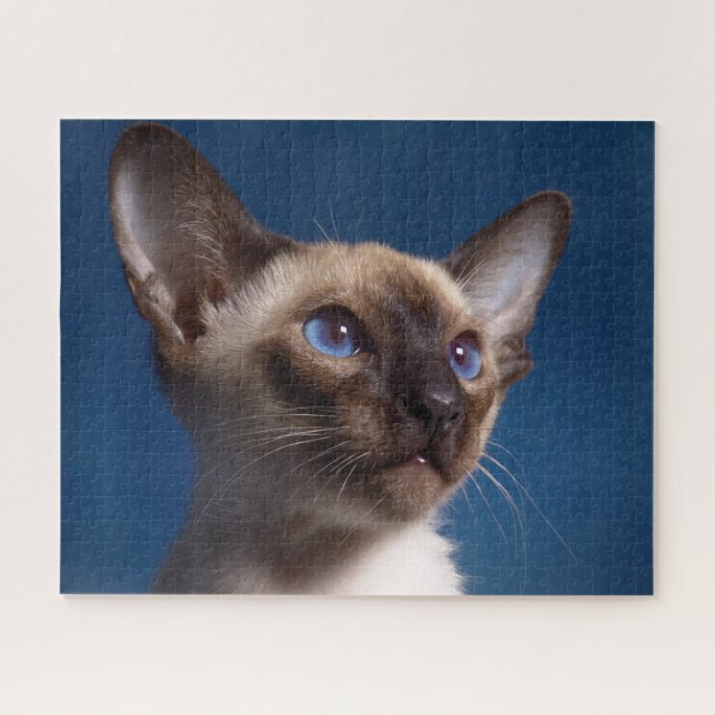 Siamese Cat . Jigsaw Puzzle (Horizontal)