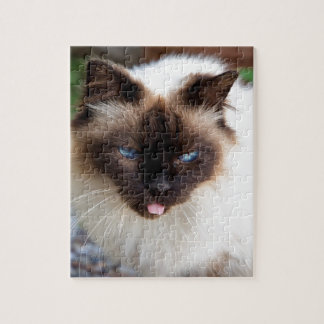 Siamese cat jigsaw puzzle