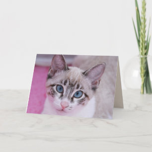 SIAMESE CAT KITTEN BIRTHDAY Greeting Card