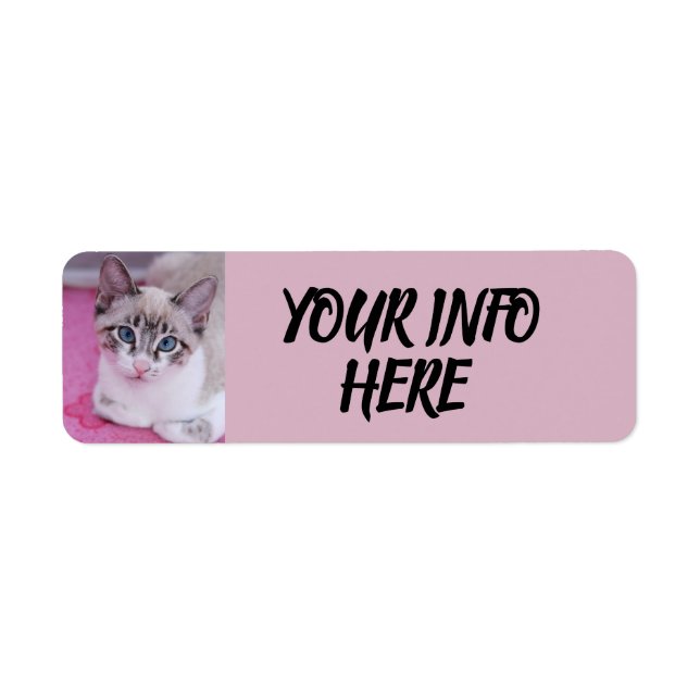 SIAMESE CAT KITTEN RETURN ADDRESS LABELS (Front)