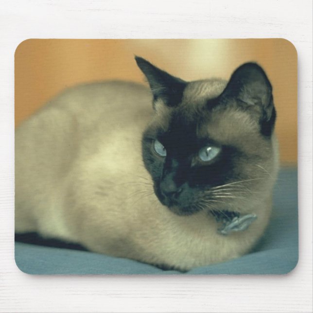 Siamese cat mouse pad (Front)