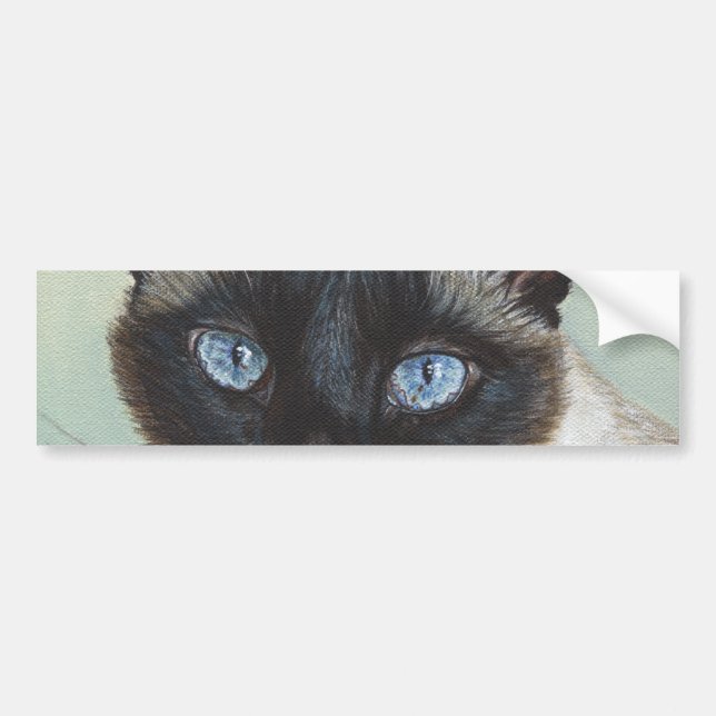 Siamese Cat Murphy Bumper Sticker (Front)
