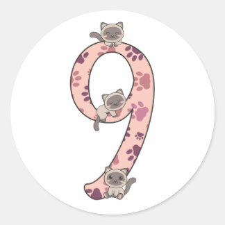 Siamese Cat Ninth Birthday For Kids Cats Classic R Classic Round Sticker